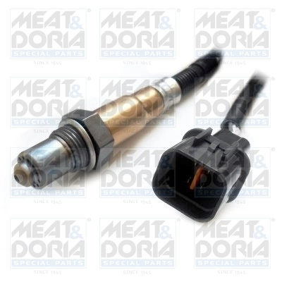 Oxygen Sensor